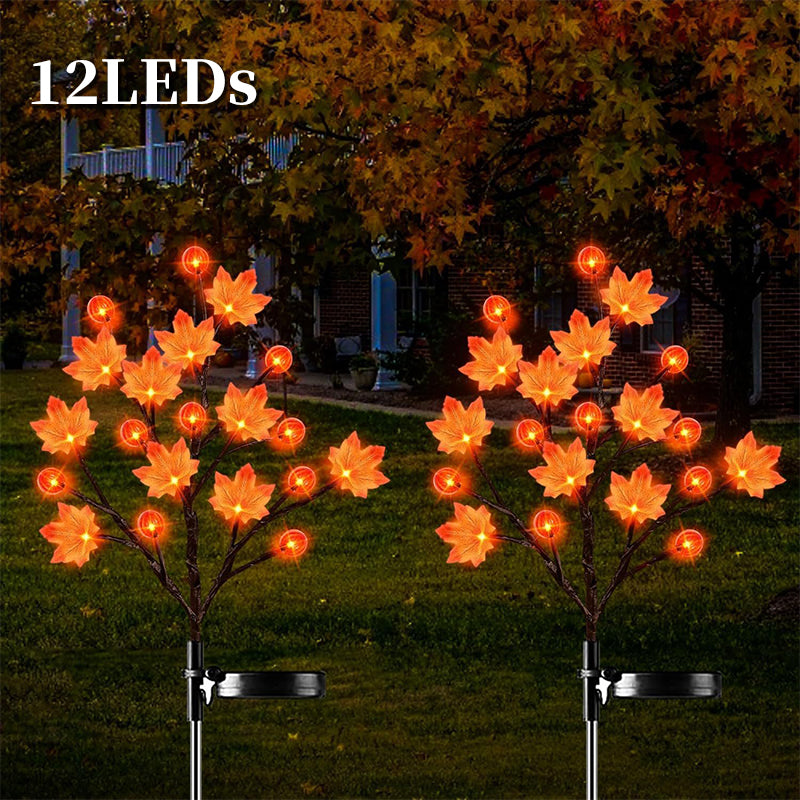 🍁Maple Pumpkin Light